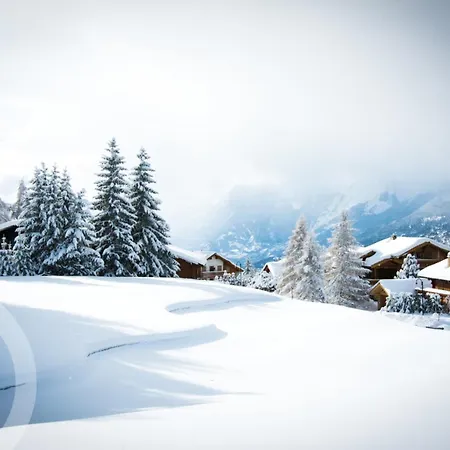 Plein Ciel I Balcony I Close To Cable Cars I Car Park Tatil Evi Crans-Montana