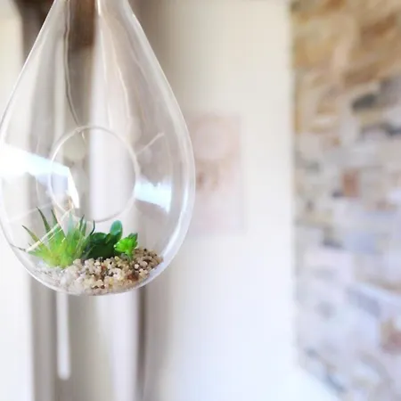 Plein Ciel I Balcony I Close To Cable Cars I Car Park Tatil Evi Crans-Montana